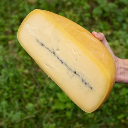 Morbier
