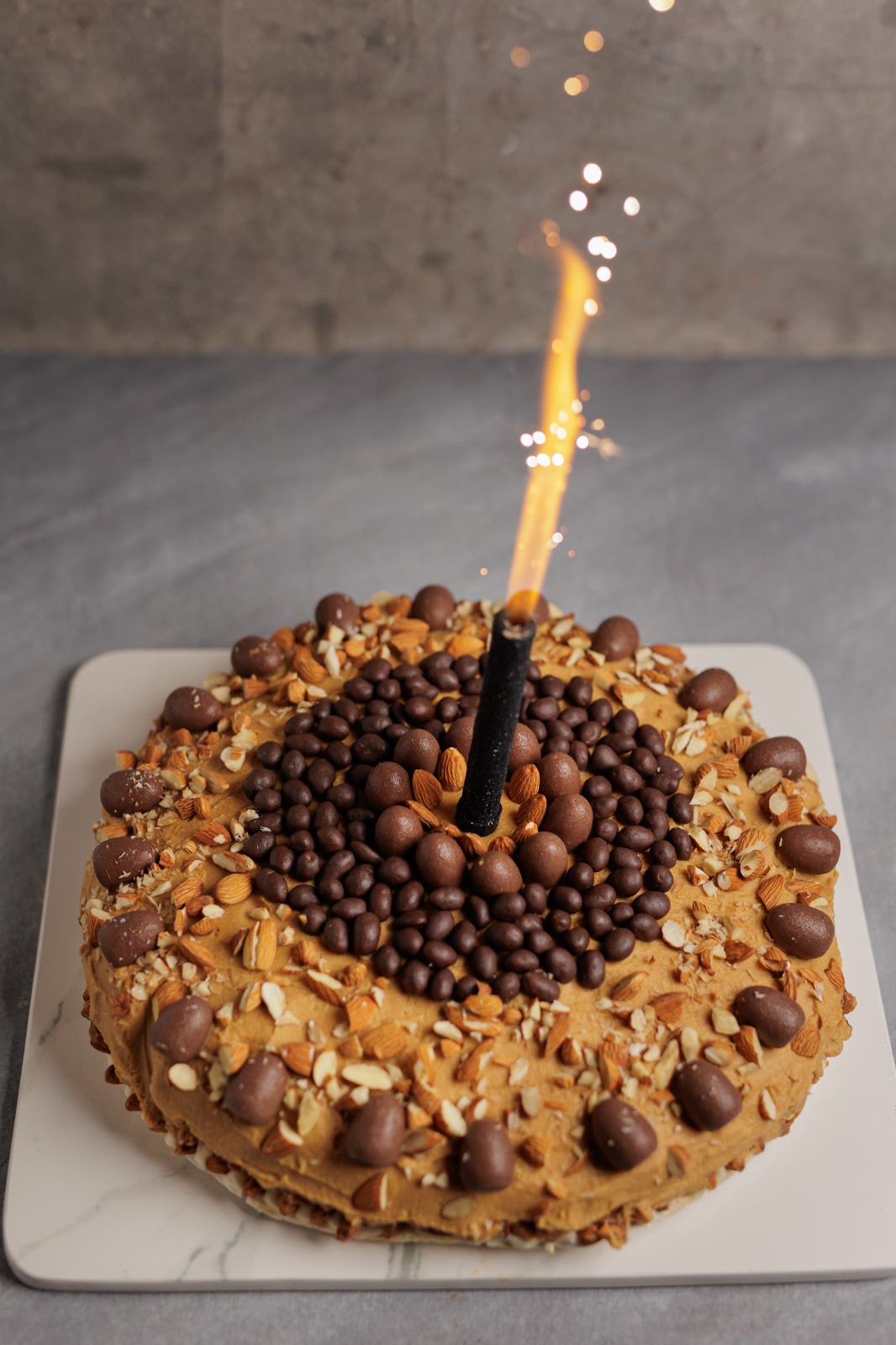 TORTA GOURMET DE QUESO BRIE - Imagen 3
