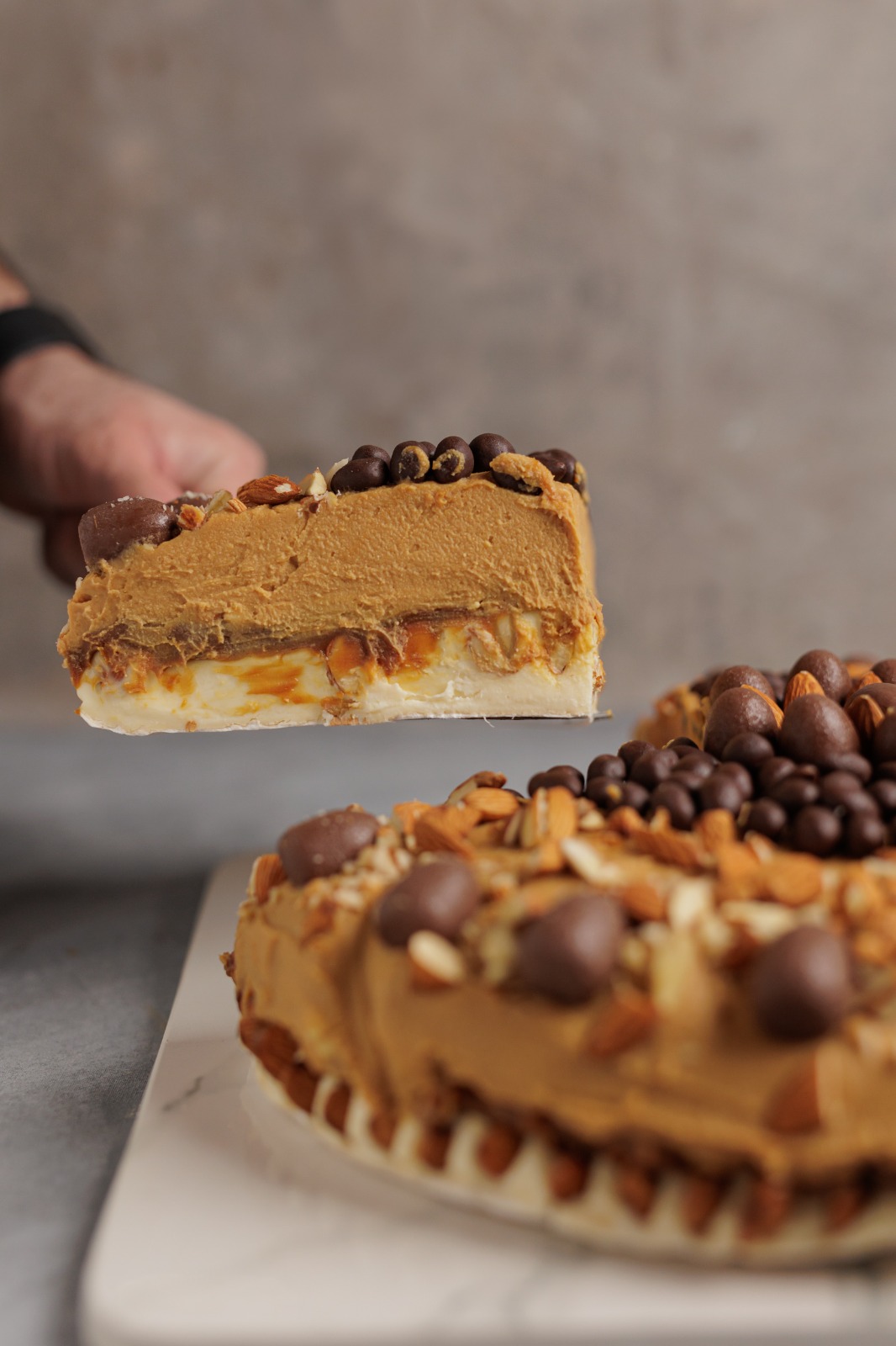 TORTA GOURMET DE QUESO BRIE - Imagen 2